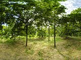 Приморский Парк